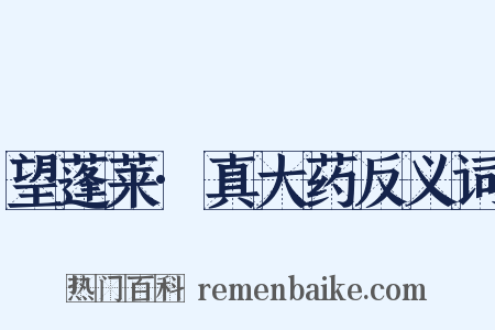 望蓬莱·真大药反义词是什么意思的图片